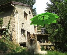 9C vakantie met hond omheinde tuin Vogezen